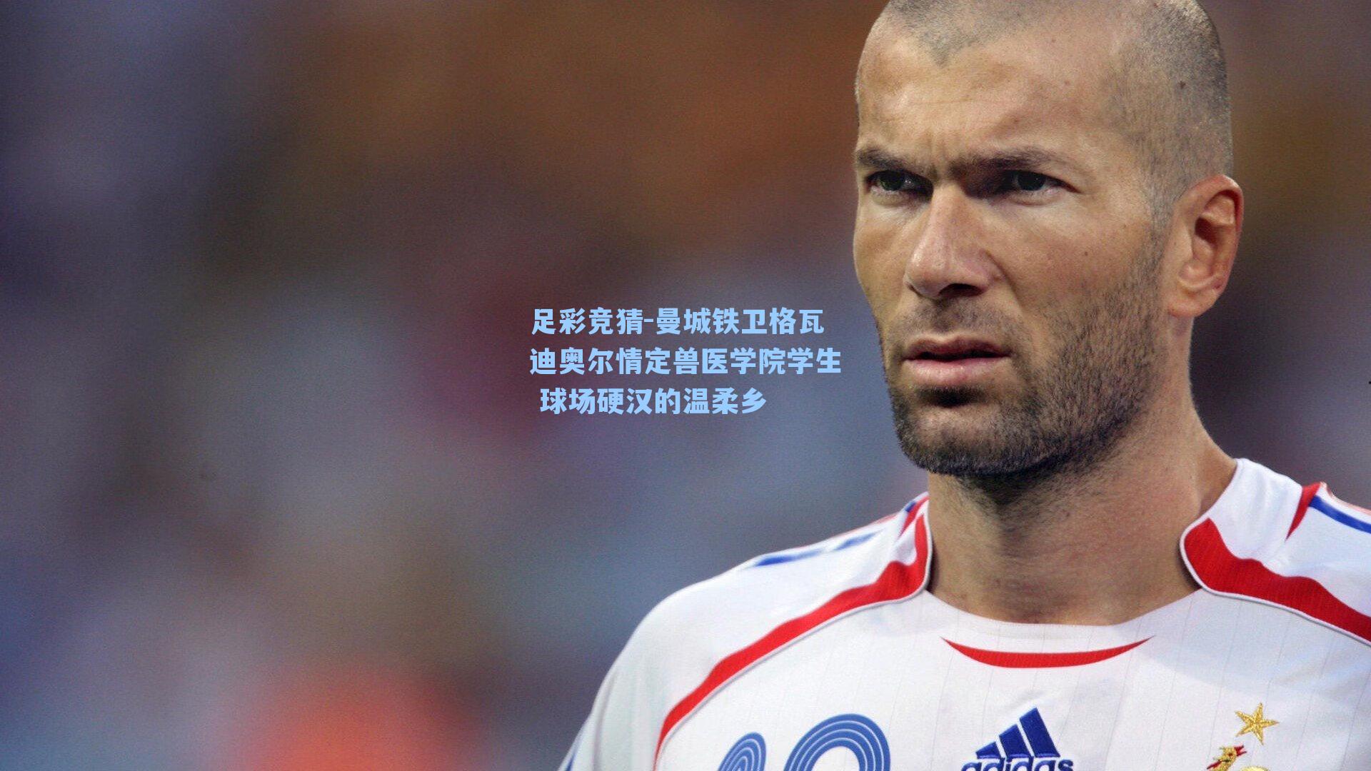 足彩竞猜-曼城铁卫格瓦迪奥尔情定兽医学院学生 球场硬汉的温柔乡
